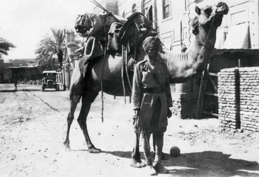 Indisk kameltrooper, Bagdad, 1918