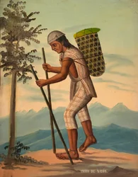 Indio Saparo, före 1914.