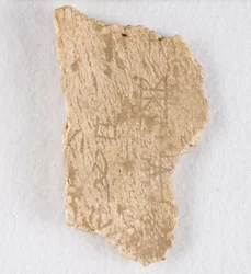 Orakelben av inskrivet benfragment, Late Shang-dynastin, ca. 1300-1050 f.Kr.