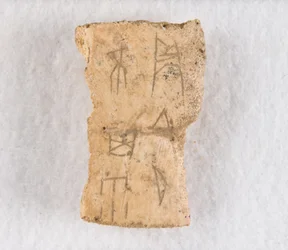 Orakelben av inskrivet benfragment, Late Shang-dynastin, ca. 1300-1050 f.Kr.