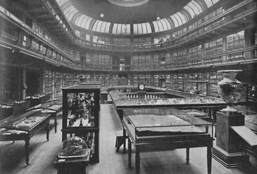 Interiör på Geologiska museet, Jermyn Street, 1904