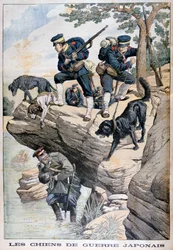 Japanska soldater med hundar hittar en ryss gömd, rysk-japanska kriget, 1904