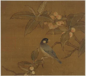 Java Sparrow på en bärgren, Mingdynastin, 1400-talet.