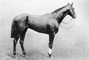 Jeddah, 1895-1909, 1911