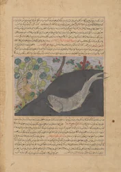 Jonah and the Whale, Folio från ett Majma