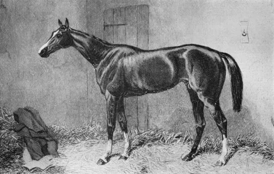 Kettledrum, c1860-talet, 1911