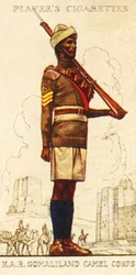 Kings African Rifles: Somaliland Camel Corps, 1936.