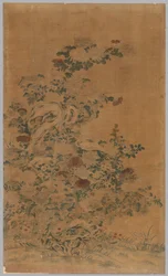 Ko Ssu Panel: Stenar och krysantemum, 1700-1800-talet.