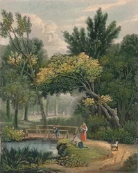 Lambert, 1800-talet