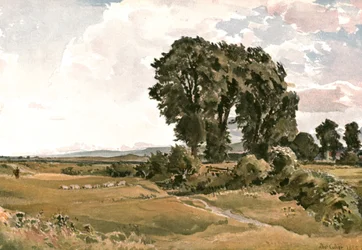 Landskap, nära Wareham, Dorset - an Outdoor Sketch, c1900.