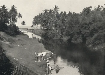 Flodlandskap vid Dehiwala, mellan Colombo och Mount Lavinia, 1926