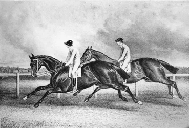 Launcelot och Maroon, c1840-talet, 1911