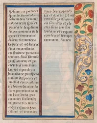 Blad från en timbok: Text med illustrerad kant ago, ca. 1510.