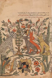 Leopard med lejonorder till domare, Folio 51 recto från en Kalila wa Dimna, 1700-tal.