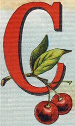 Bokstaven C: körsbär. Gravyr i "Alphabet de ma petite fille". Bernardin-Bechet och Fils, bokhandlare-förlag, Paris, omkring 1895. Okrossbart album på duk. Bibliotheque des Bebes. 12 sidor. Album innehållande en läsmetod och en illustrativ abece