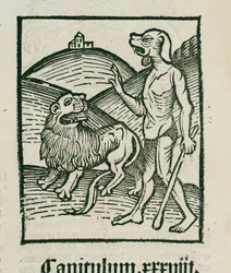 Lejonet och det mytomspunna "cephos"