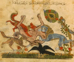 Lejon slår en kamel, Kalila Wa-Dimna, arabisk-spansk sagobok, 1200-talet.