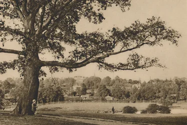 Ser från de gröna sluttningarna av Caen Wood mot kyrkspiran i Old Highgate, c1935.