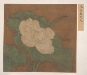 Lotus.