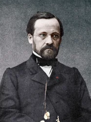 Louis Pasteur, fransk mikrobiolog och kemist, 1800-talet
