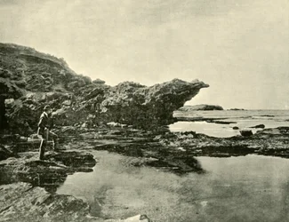 Lågvatten, Shelly Beach, Warrnambool, 1901.