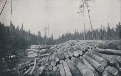 Lumbering, 1924