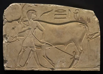 Män som trugar en oxe, 667-647 f.Kr.