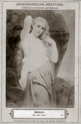 Merle, c1800-talet
