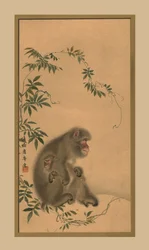Monkey, 1800-talet, 1886