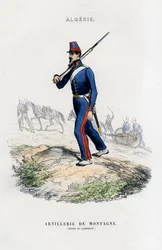 Bergsartilleri, fransk armé i Algeriet