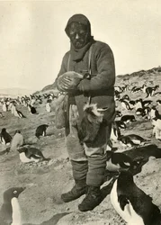 Murray Holding Young Penguins, c1908, 1909.