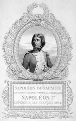 Napoleon 1:a, 1800-tal