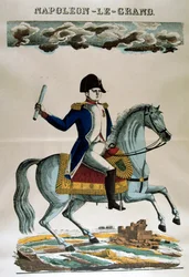 Napoleon I, 1800-talet