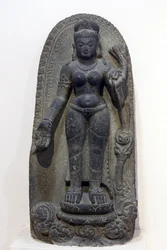Nationalmuseet, New Delhi. Tara. Pala, 8:e århundradet e.Kr., Bihar. Sten. Indien.