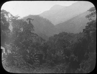 Nära Petrópolis, Rio de Janeiro, Brasilien, sent 1800- eller tidigt 1900-tal
