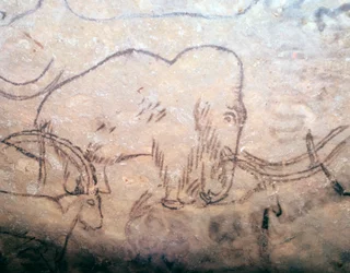 Neolitisk grottmålning av en mammut och stenbockar