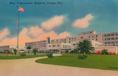 New Tuberculosis Hospital, Tampa, Florida, c1940-talet