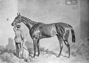 Newminster, 1848-1868, 1911