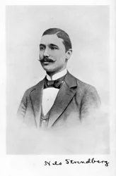 Nils Strindberg, 1872-1897, svensk fotograf, 1931