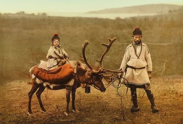 Norge. Trasa (frö) med en ren. Omkring 1900. Fotokrom. Fotografering av Photoglob / Zürich