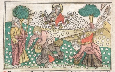 Nürembergs Bibel: Manna faller från himlen, 1400-talet.