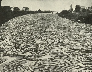 På väg till sågverken, c1948.