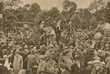 Ett av tecknen på vår civilisation: välfyllda zoologiska trädgårdar för att glädja de nyfikna, c193
