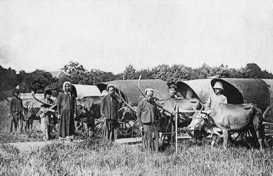 Oxkärror, Cochin Kina, Vietnam, 1900-talet