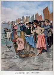 Ostronförsäljare, 1902