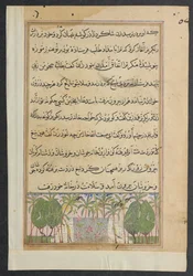 Sida från Tales of a Parrot Tuti-nama: Åttonde natten: Landskap med en lotuspool, ca. 1560.