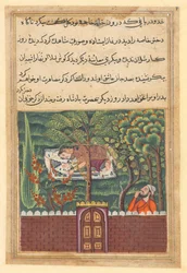 Sida från Tales of a Papegoja Tuti-nama: Femtioförsta natten: Khulasa, en vesir, ser..., c1560.