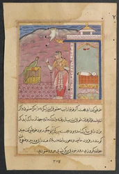 Sida från Tales of a Papegoja Tuti-nama: Fyrtiofjärde natten: Papegojan tilltalar..., ca. 1560.