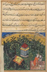 Sida från Tales of a Papegoja Tuti-nama: Fjärde natten: Mendicants fru bedrar..., ca. 1560.
