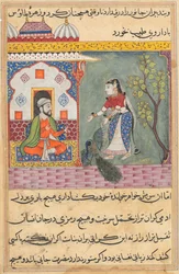 Sida från Tales of a Papegoja Tuti-nama: Nittonde natten: Brahmans fru..., ca. 1560.